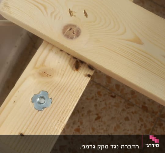 תיקנים על עץ, ברגים, רצפה